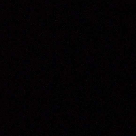 Meet your Posher, Dinah - Picture 1 of 1